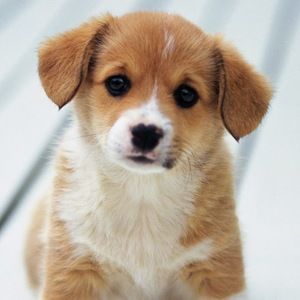 Meet your Posher, Janelle